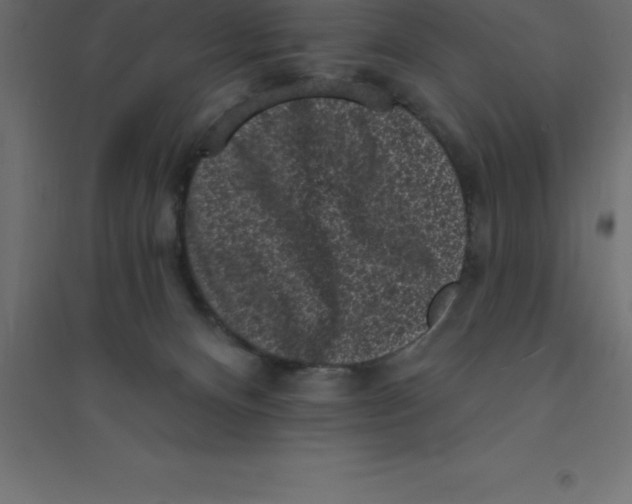 X0000094350128200711241923