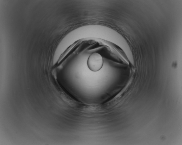 X0000094350129200711241923