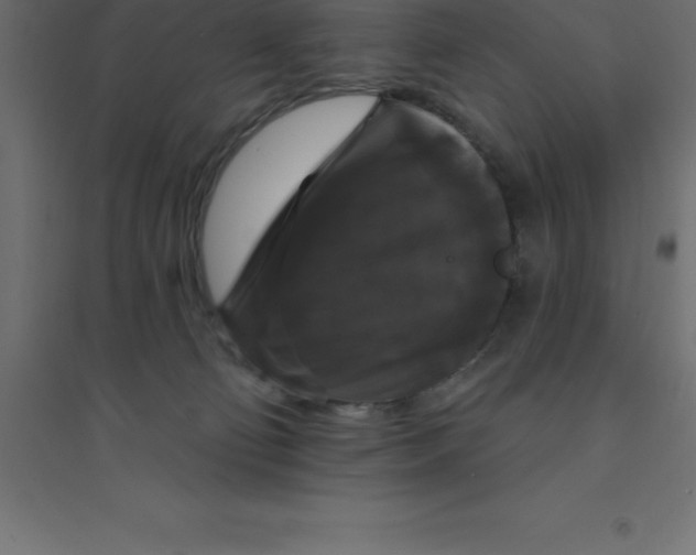 X0000094350130200711241923