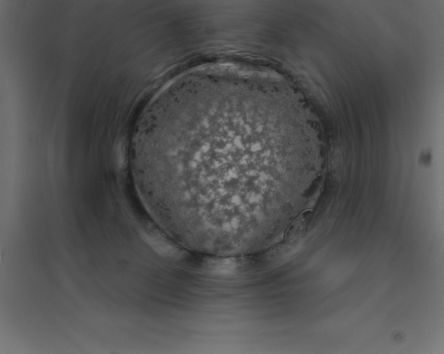 X0000094350131200711241923