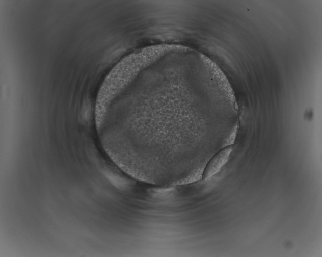 X0000094350132200711241923