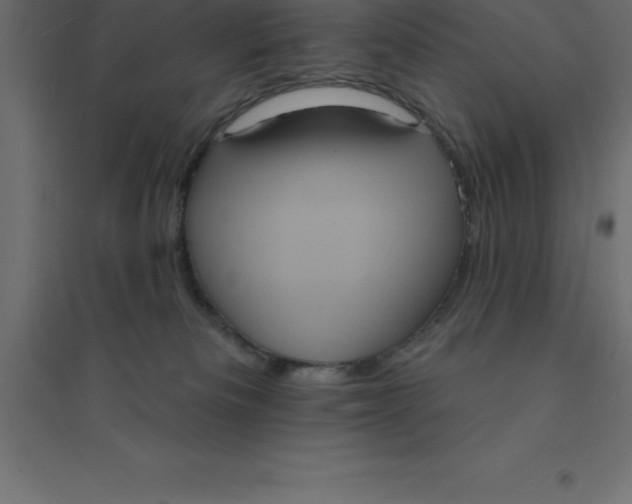 X0000094350133200711241923