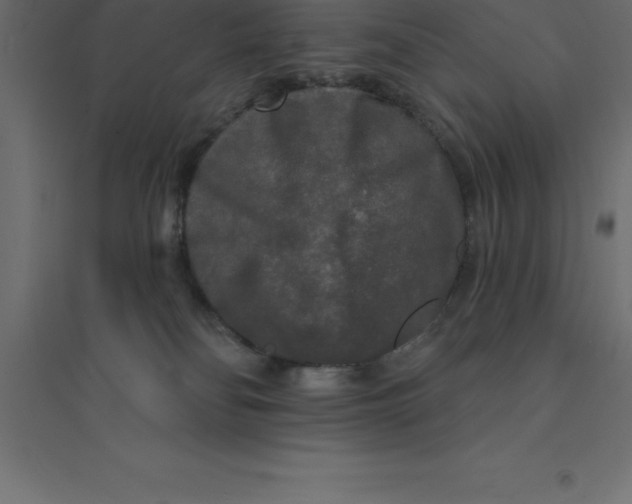 X0000094350134200711241923