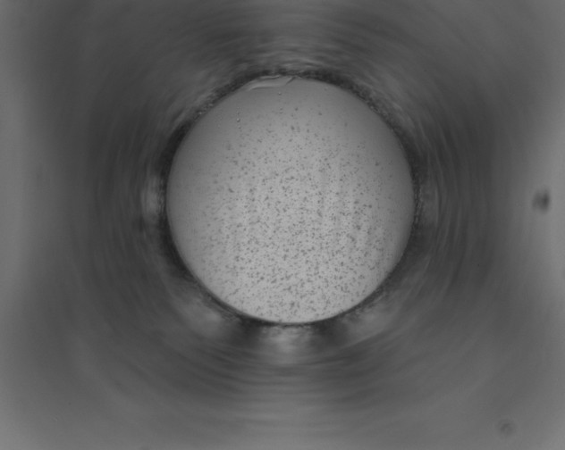 X0000094350135200711241923