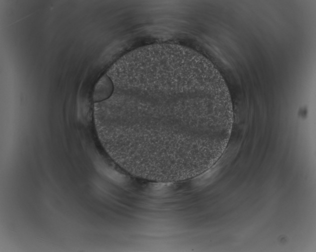 X0000094350136200711241923