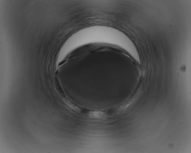 X0000094350137200711241923