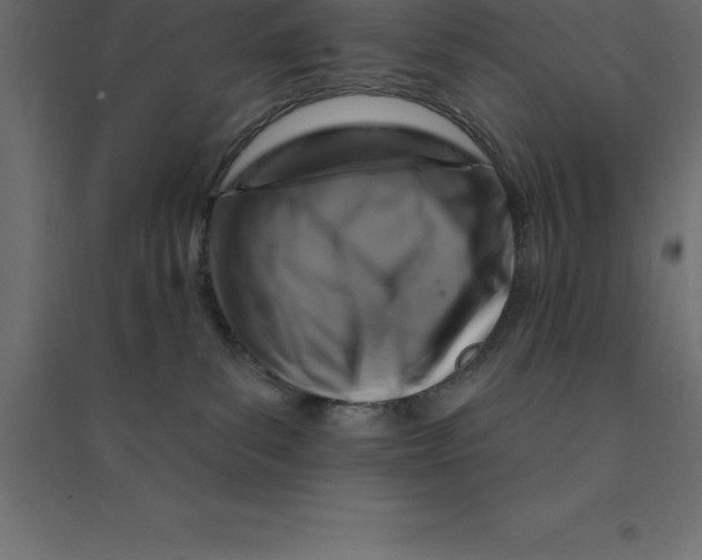 X0000094350139200711241923