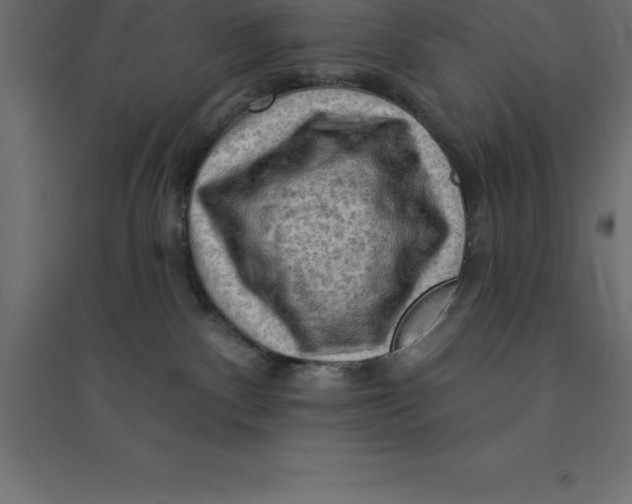 X0000094350140200711241923