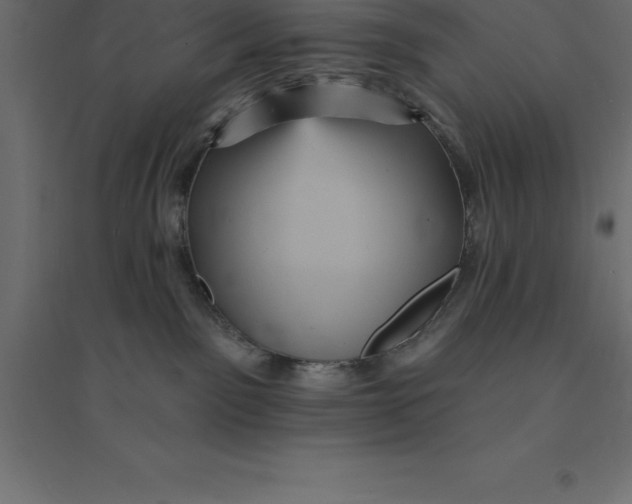X0000094350141200711241923
