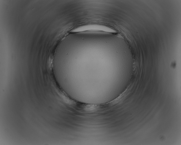 X0000094350142200711241923