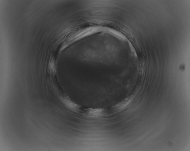 X0000094350143200711241923