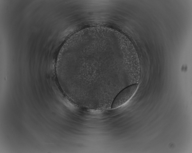 X0000094350144200711241923