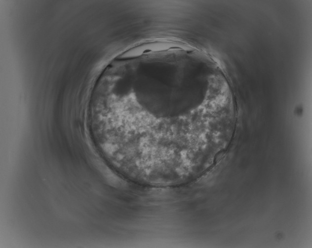 X0000094350145200711241922