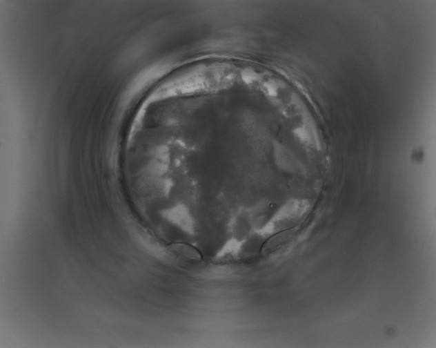 X0000094350149200711241922