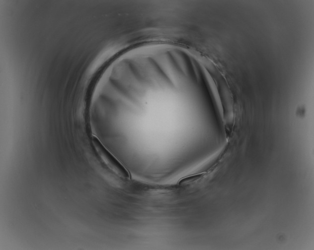 X0000094350150200711241922