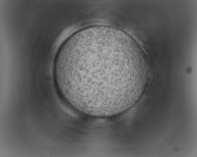 X0000094350151200711241922