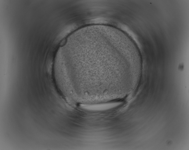 X0000094350153200711241922