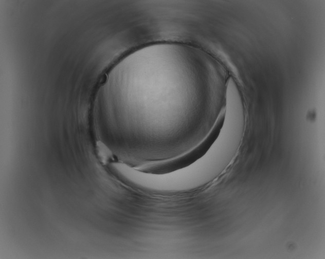 X0000094350154200711241922