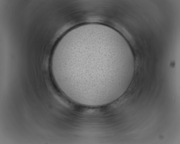 X0000094350155200711241922