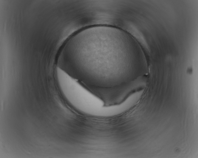 X0000094350156200711241922