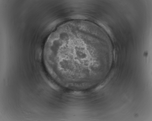 X0000094350157200711241922