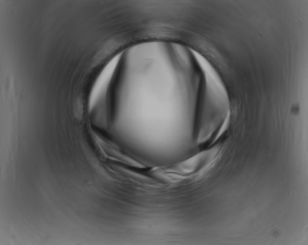 X0000094350158200711241922