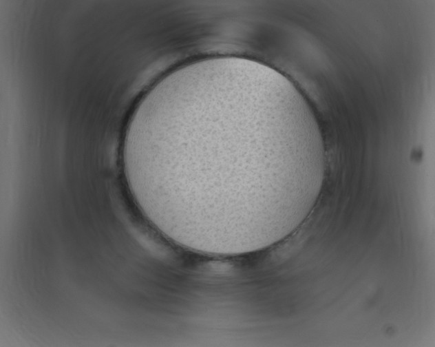 X0000094350159200711241922