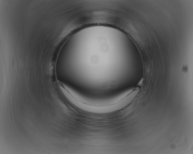 X0000094350160200711241922