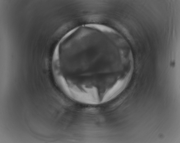 X0000094350161200711241922