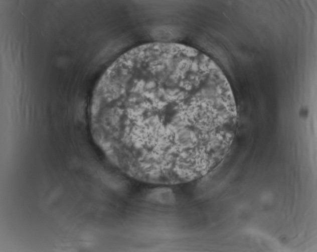 X0000094350162200711241922