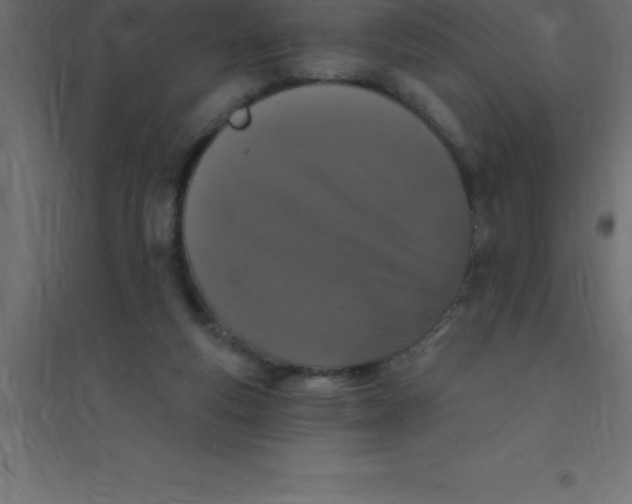 X0000094350163200711241922