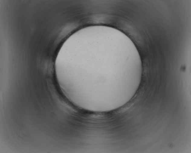 X0000094350164200711241922