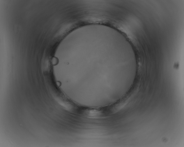 X0000094350165200711241922