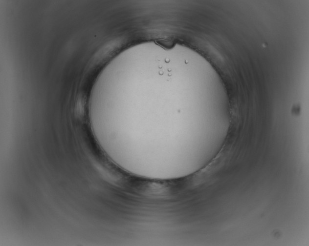 X0000094350166200711241922