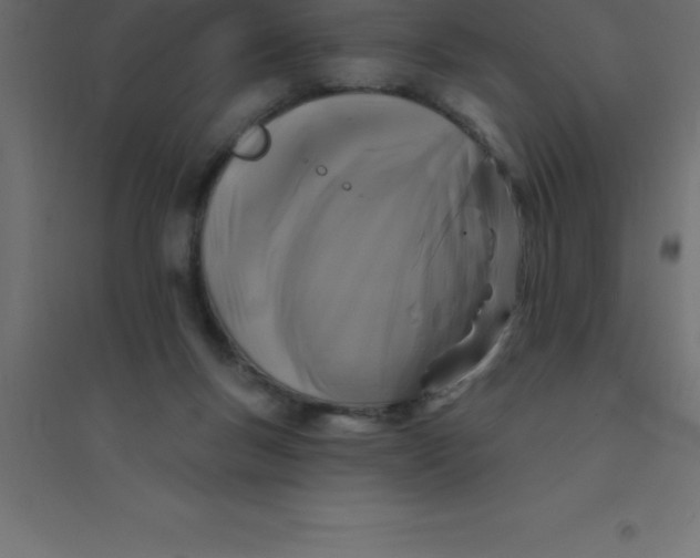 X0000094350167200711241922