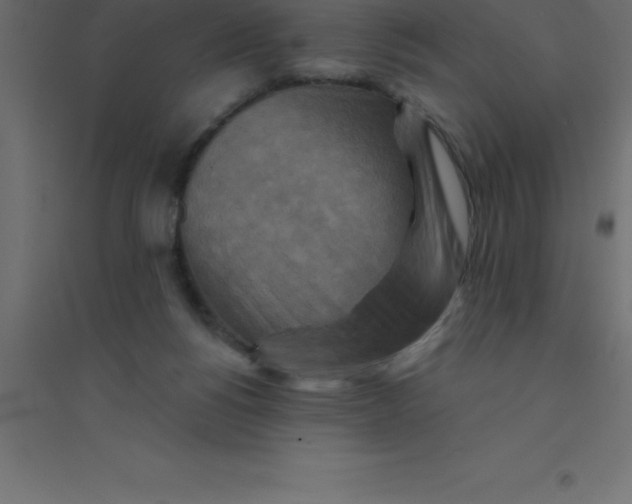 X0000094350168200711241922