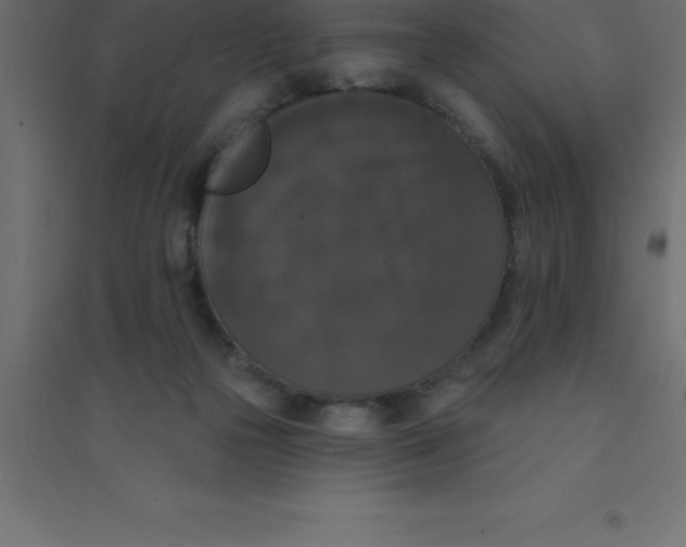 X0000094350169200711241922