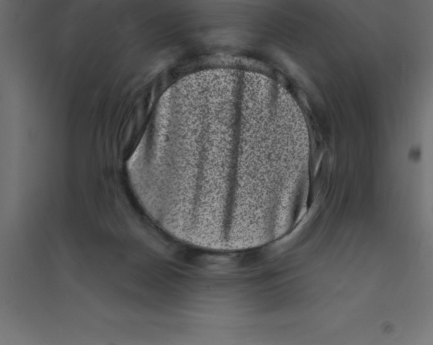 X0000094350170200711241923