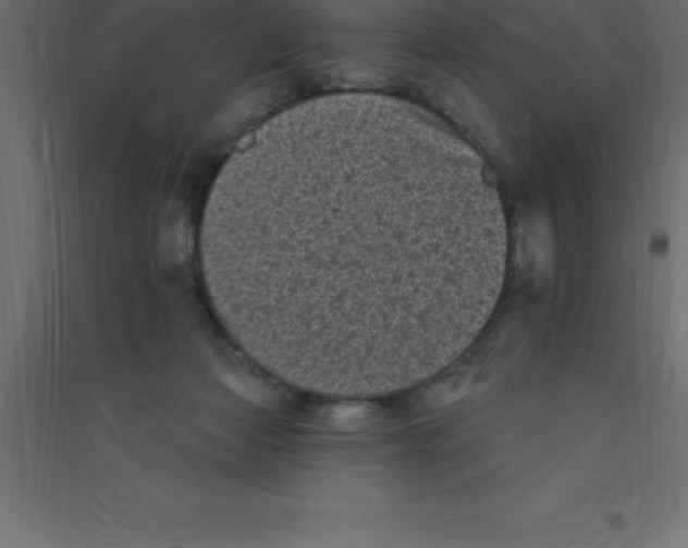 X0000094350173200711241923