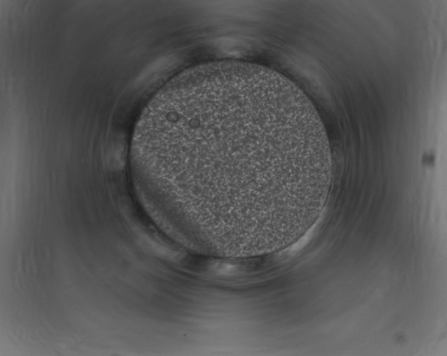 X0000094350174200711241923