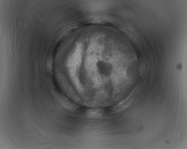 X0000094350175200711241923