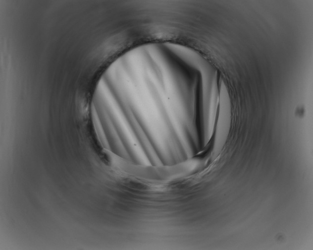 X0000094350176200711241923