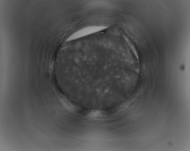 X0000094350177200711241923