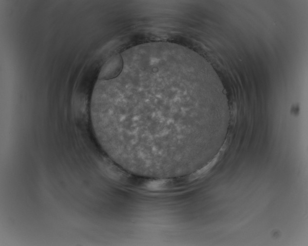 X0000094350178200711241923