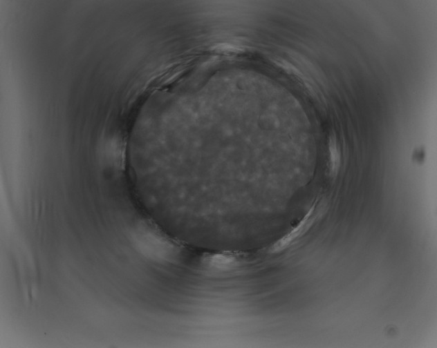 X0000094350180200711241923