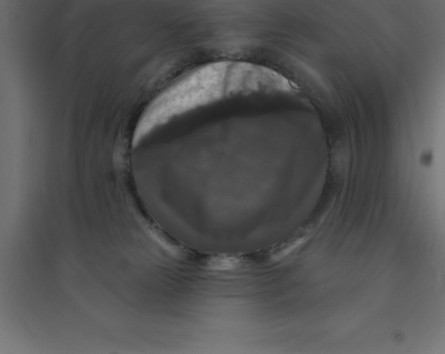 X0000094350181200711241923