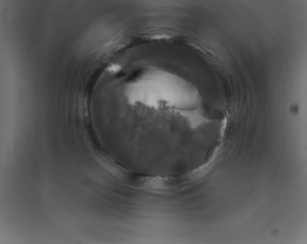 X0000094350182200711241923