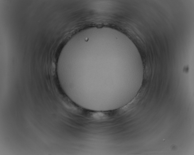 X0000094350183200711241923