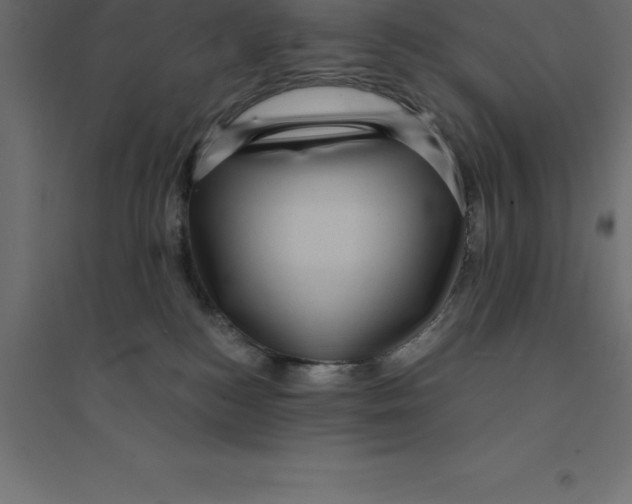 X0000094350184200711241923