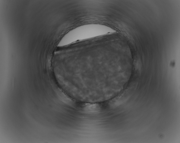 X0000094350185200711241923